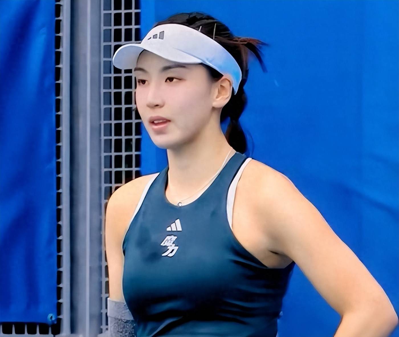 米尼加锦标 米尼加锦标